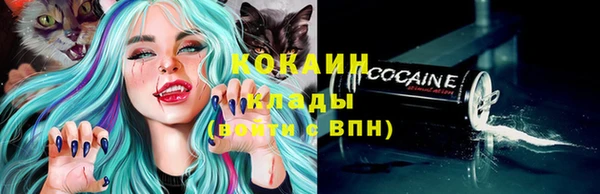 тгк Армянск