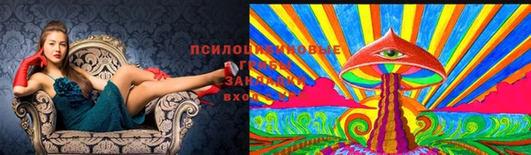 круглые Аркадак