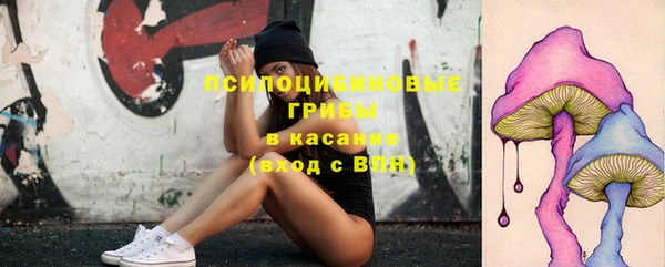 круглые Аркадак