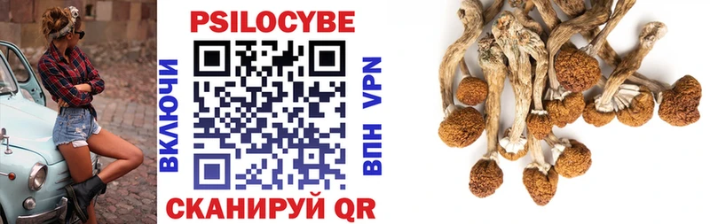 Галлюциногенные грибы мухоморы Судогда